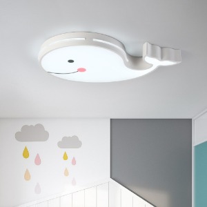 LED 고래의꿈 방등 (50W)