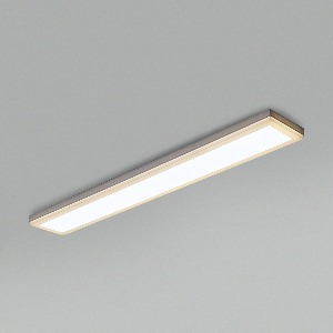 LED 심플 라인 주방등 (2size)